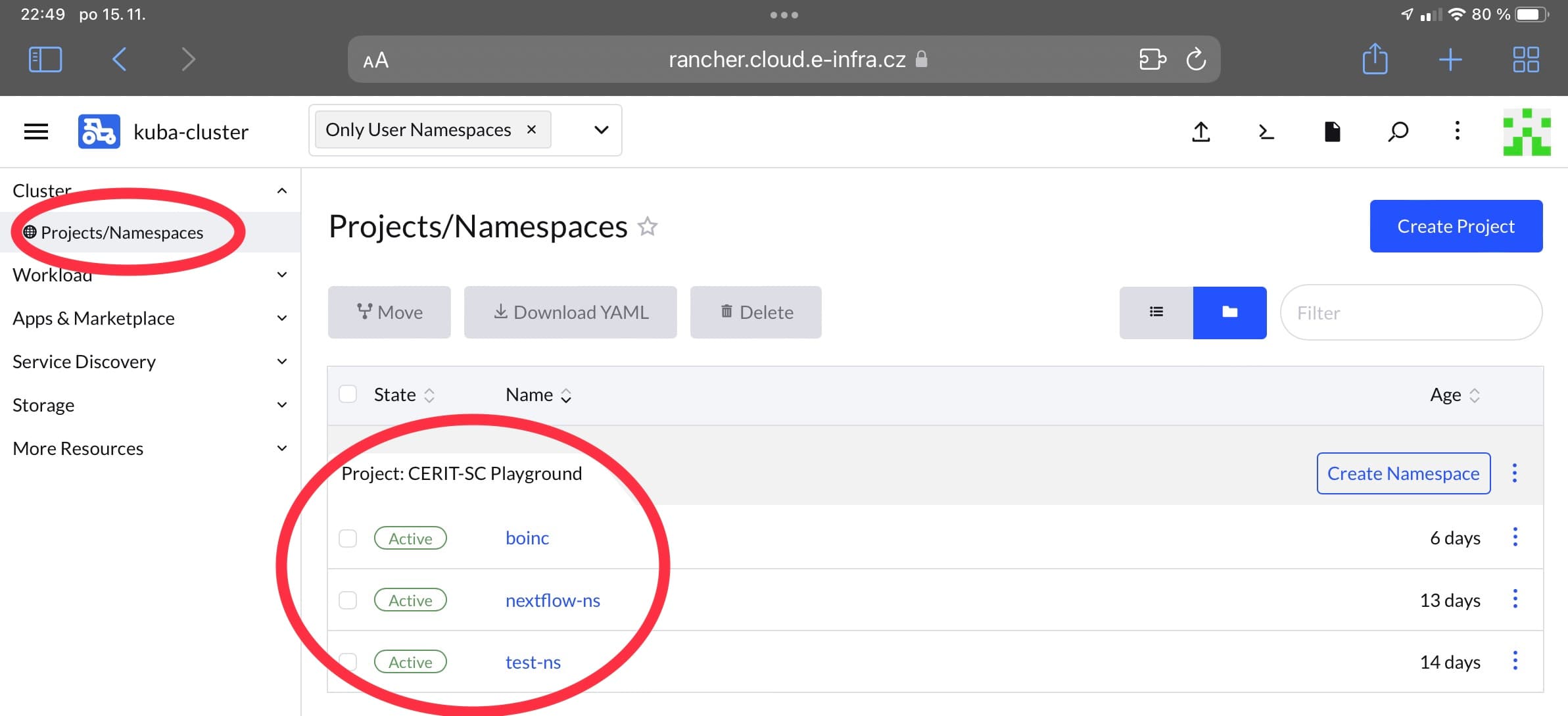 Namespace view in Rancher GUI